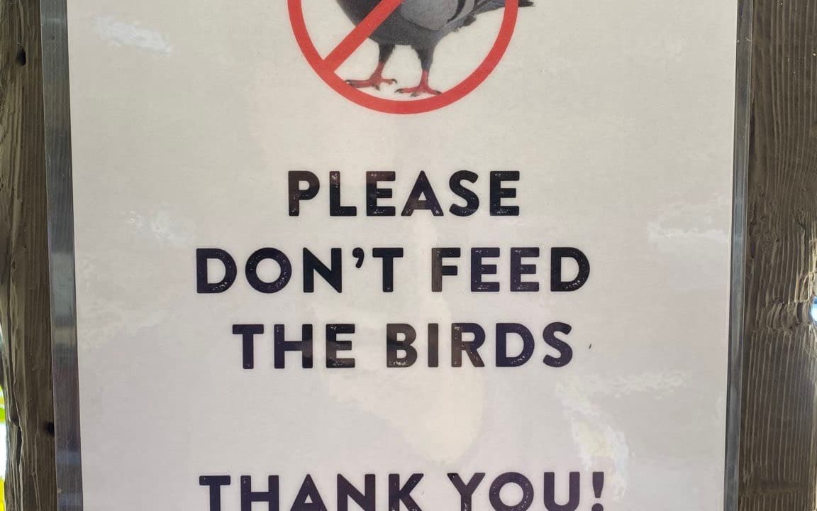Outdoor sign that reads Please don’t feed the birds. Thank you!, with a pigeon inside a red prohibition symbol.